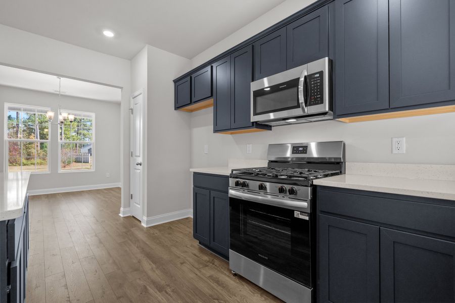 New Home in Conway, SC.  - Slide 16