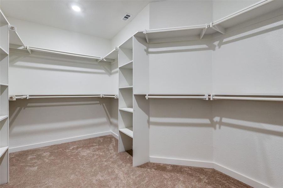 Spacious closet featuring light colored carpet