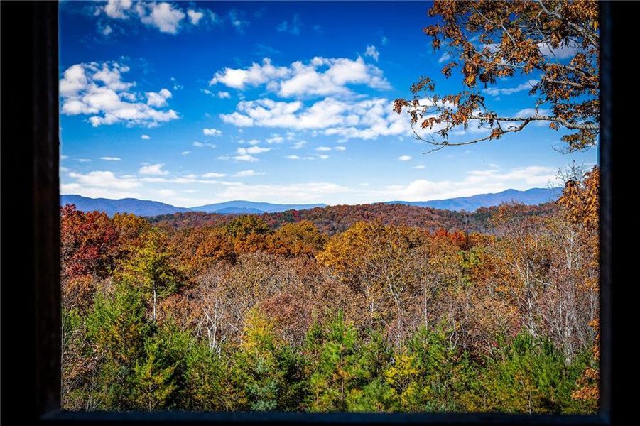 Natural landscape and outdoor views near  in Blue Ridge (Image 31).