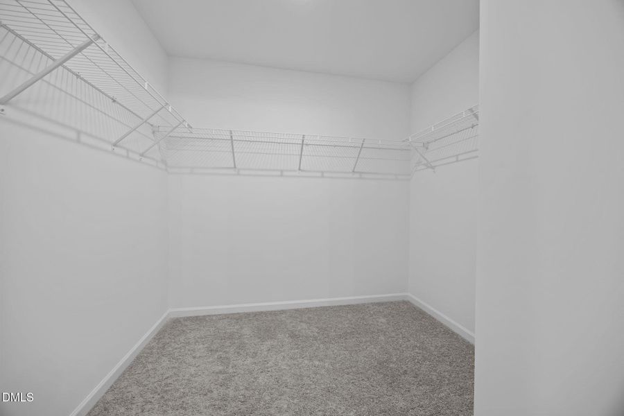 26-web-or-mls-6S8A4168