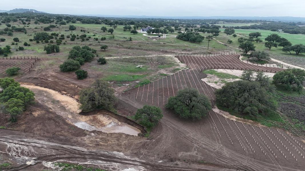 Extensive acreage featuring cultivated rows, established trees, and varied terrain