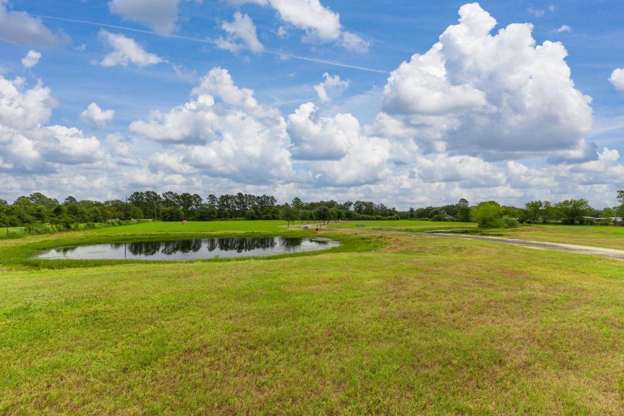 Natural landscape and outdoor views near  in Hempstead (Image 22).