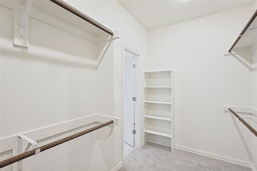 Spacious closet featuring light colored carpet