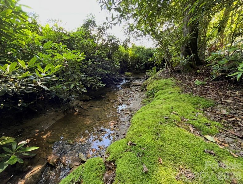Natural landscape and outdoor views near  in Newland (Image 34).