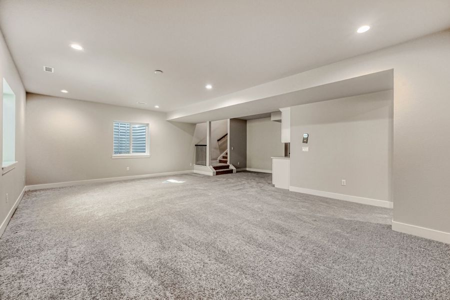 8541 Palo Alto - Basement