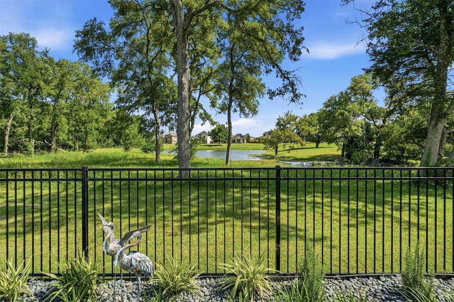 Natural landscape and outdoor views near Trinity Falls: 70ft. lots in McKinney (Image 37).