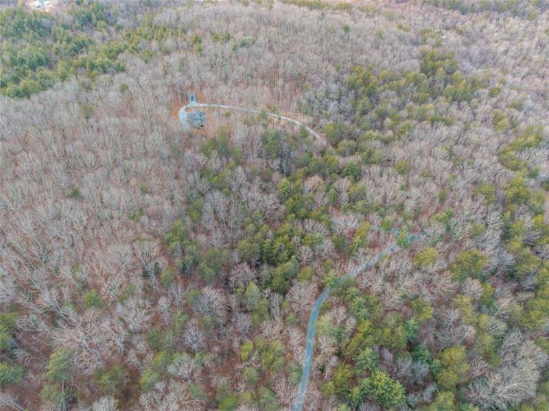 Natural landscape and outdoor views near  in Blue Ridge (Image 57).