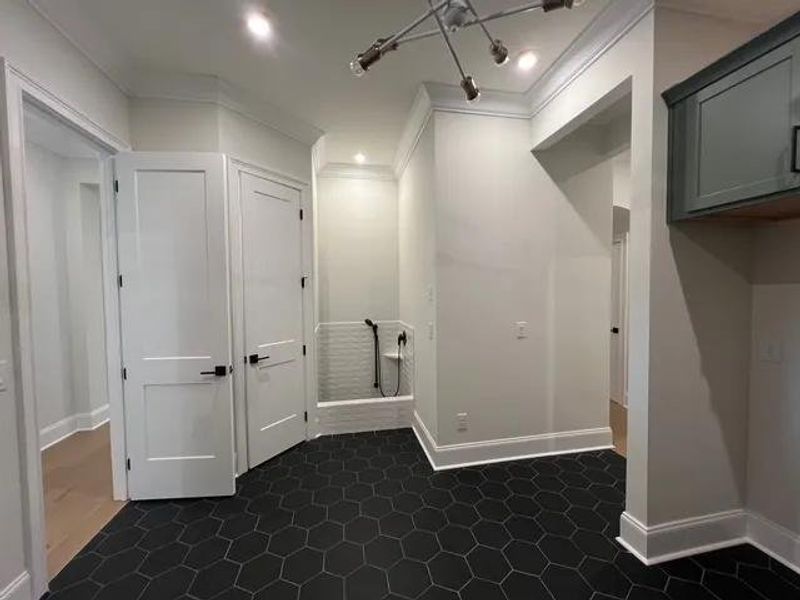 The Belterra D Family Ready Room The Belterra D Family Ready Room