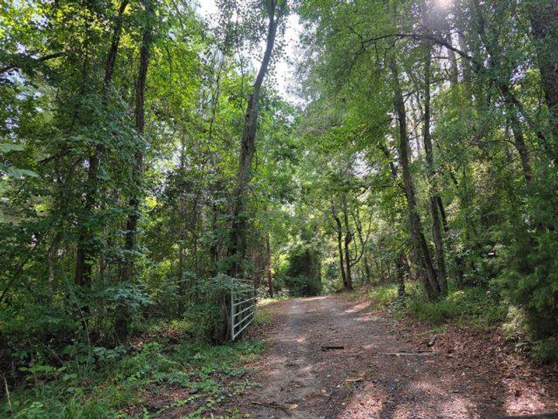 Natural landscape and outdoor views near  in Santee (Image 29).