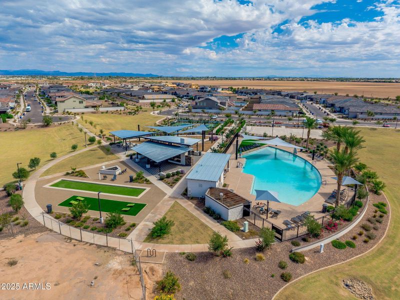 Community Area Community Area