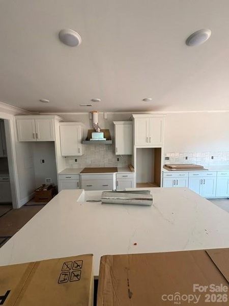 Construction progress of homesite 419