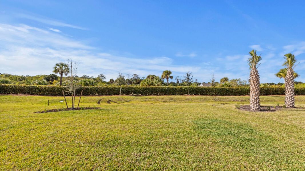 Natural landscape and outdoor views near SkySail in Naples (Image 50).