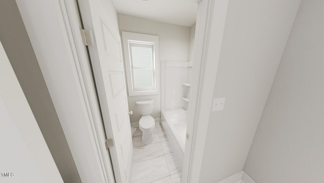 Rendering Representation