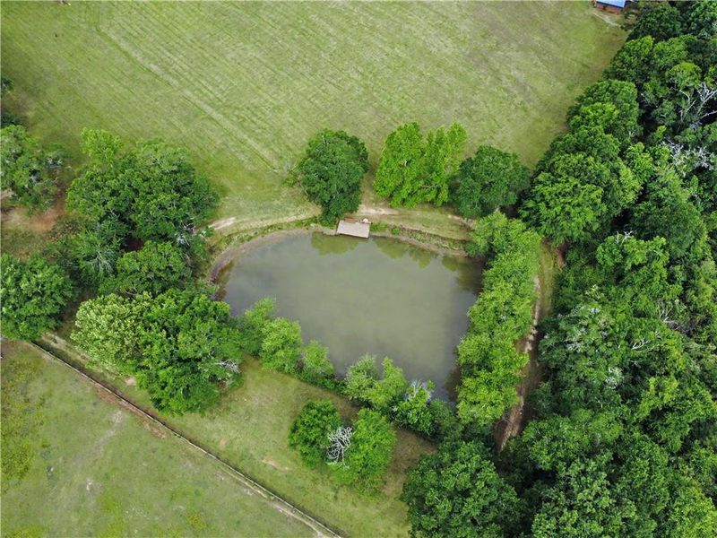 Natural landscape and outdoor views near  in Hoschton (Image 44).