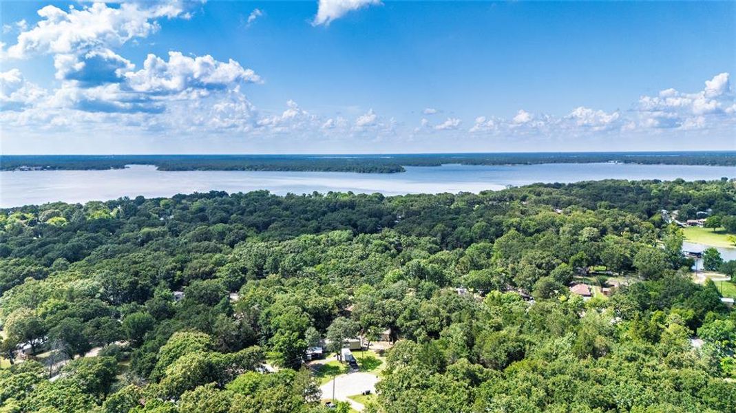 Drone / aerial view of a forest and a nearby body of water