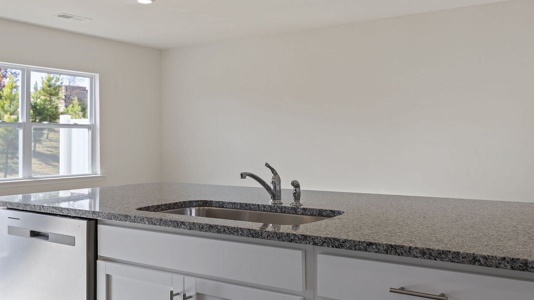 Close-up of interior finishes inside a home in Brookside Ridge Townhomes, Greer (Image 14).