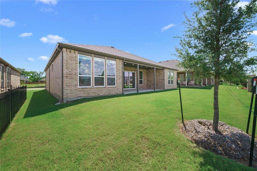 Spacious backyard featuring a lush lawn, a young tree with mulch, and a black wrought iron fence