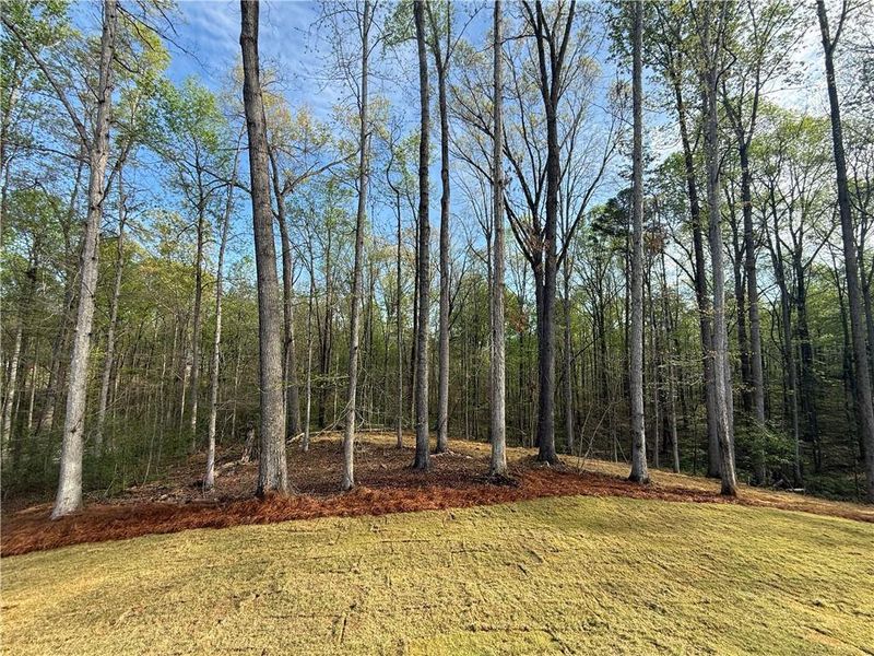Natural landscape and outdoor views near  in Pendergrass (Image 43).