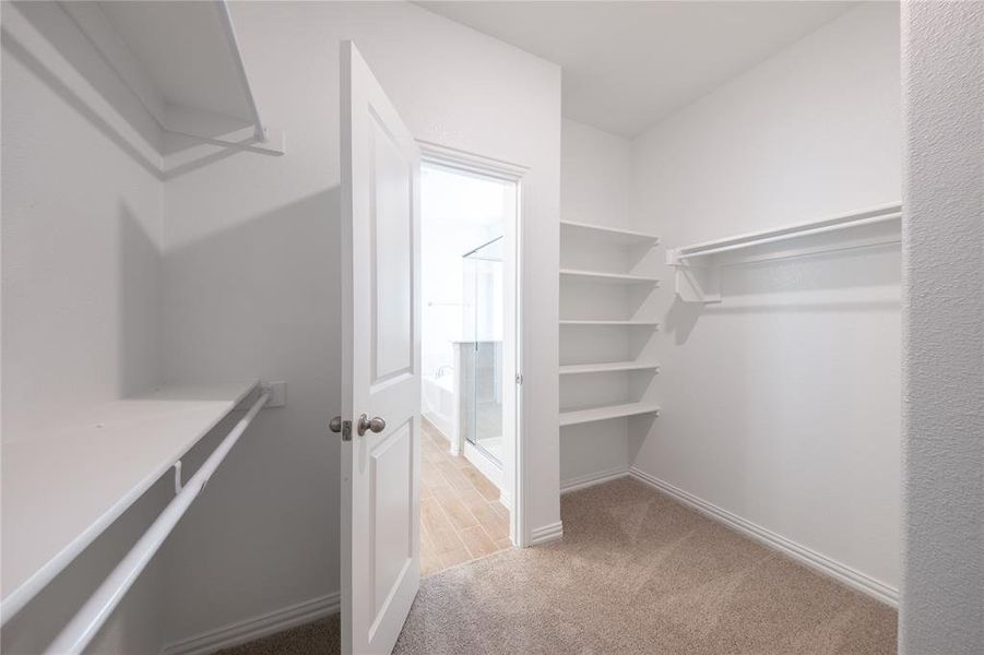 Image 28 of a home in Lake Pointe: Lake Pointe at Paloma Creek. Image 28 of a home in Lake Pointe: Lake Pointe at Paloma Creek.