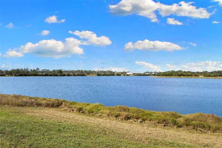 Natural landscape and outdoor views near  in Myakka City (Image 58).
