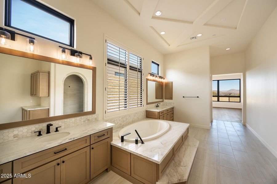 Glorious Master Bathroom