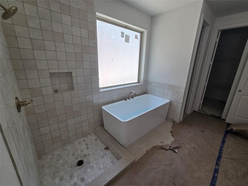 Separate Free Standing Tub and Mud Set Shower Separate Free Standing Tub and Mud Set Shower