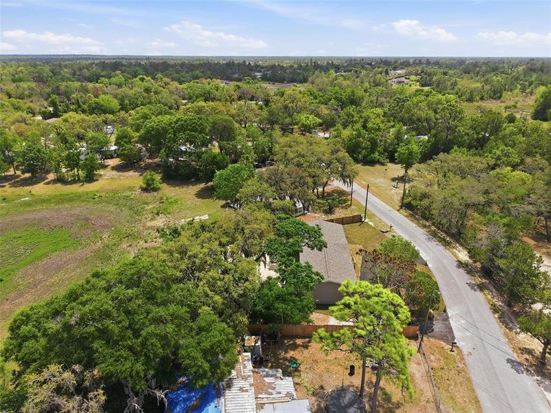 Natural landscape and outdoor views near  in Weeki Wachee (Image 47).