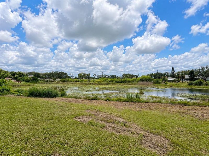 Natural landscape and outdoor views near Spring Hill in Spring Hill (Image 13).