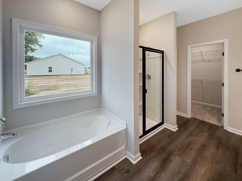 Furnished interior view inside a new home in Tibet Road at Sassafras, Allenhurst (Image 9).