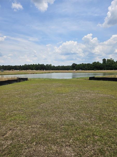 Natural landscape and outdoor views near Edgefield in Loris (Image 33).