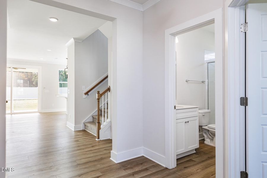 RDU_GroveatGinBranch_Shenandoah_Lot 4_Fo RDU_GroveatGinBranch_Shenandoah_Lot 4_Fo