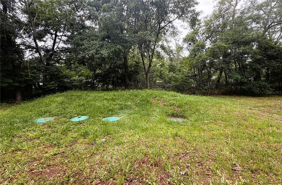 Natural landscape and outdoor views near  in Jacksonville (Image 39).