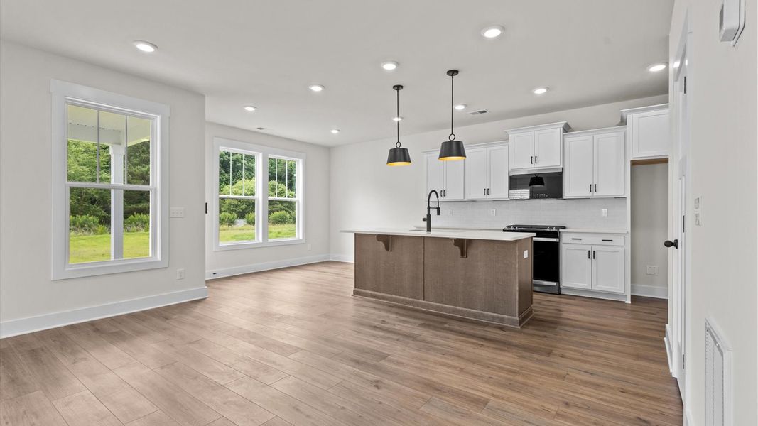 Furnished interior view inside a new home in Spring Branch, Smyrna (Image 10).