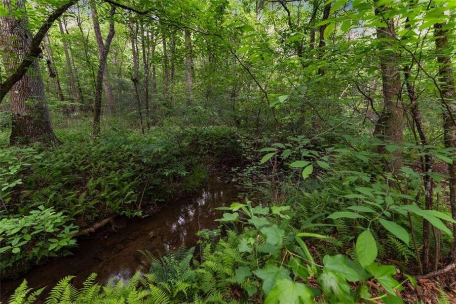 Natural landscape and outdoor views near  in Clarkesville (Image 55).