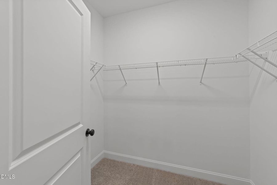 36-web-or-mls-VB4A1091