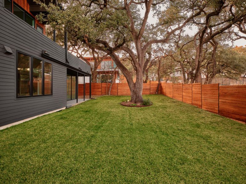 View of fenced backyard