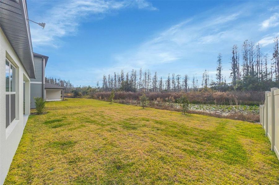 Exterior details and patio area of a home in , Zephyrhills (Image 28).
