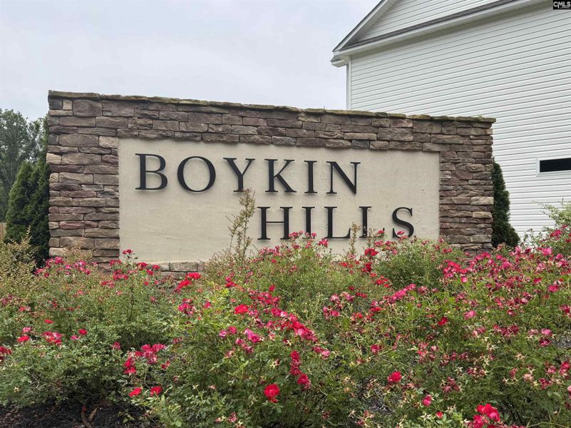 Front exterior of a new home in Boykin Hills, Chapin, SC, highlighting curb appeal (Image 22).