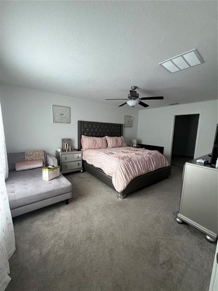 Furnished interior view inside a new home in North Park Isle, Plant City (Image 28).