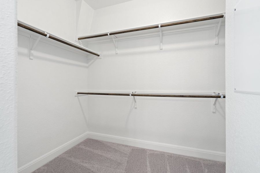 008_mm_03831 008_mm_03831