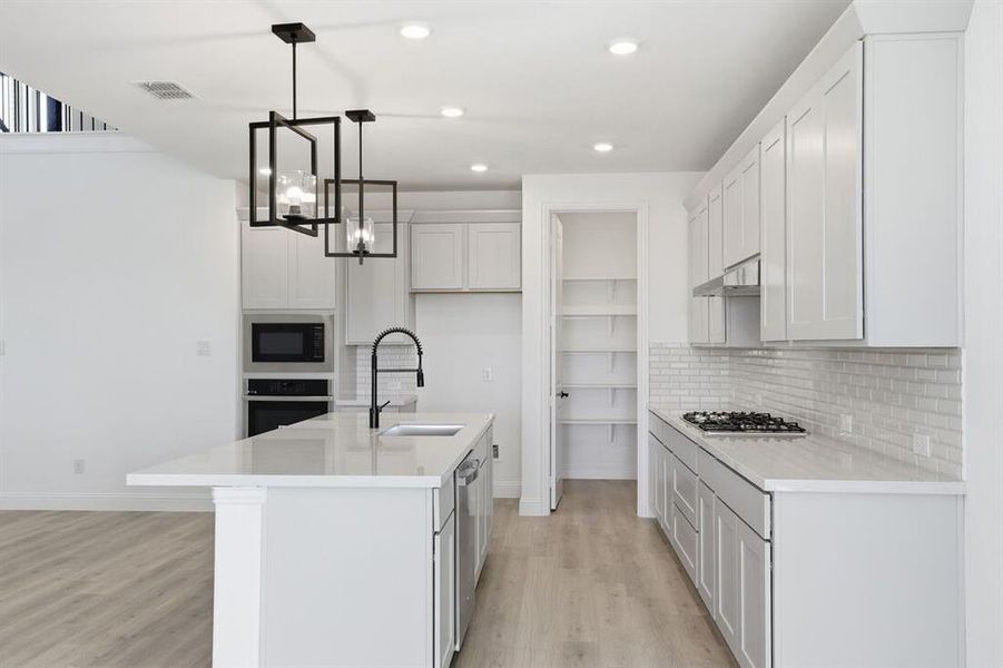 1508 Canter ~ Ready Now