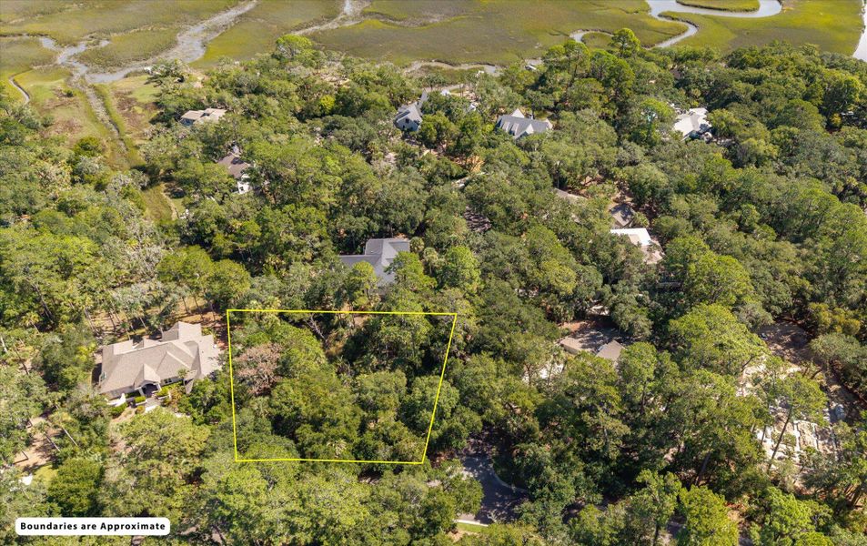 Natural landscape and outdoor views near  in Seabrook Island (Image 12).