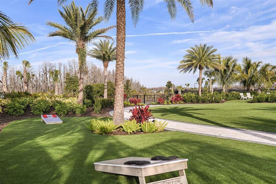 Community amenities in Esplanade at Wiregrass Ranch, Wesley Chapel (Image 61).