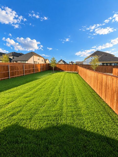 Backyard