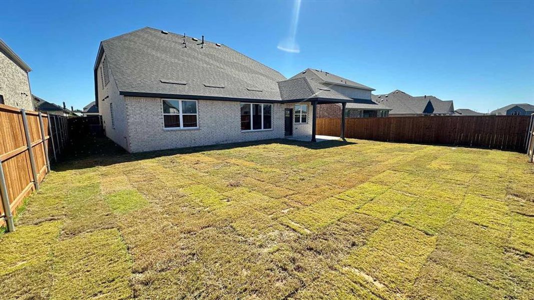 Rear Exterior Design Construction Progress