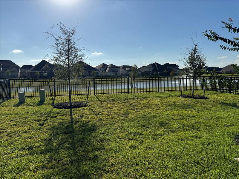 Backyard Lake View