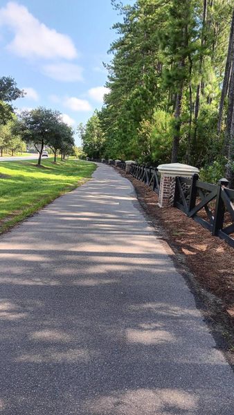 Natural landscape and outdoor views near  in Summerville (Image 14).