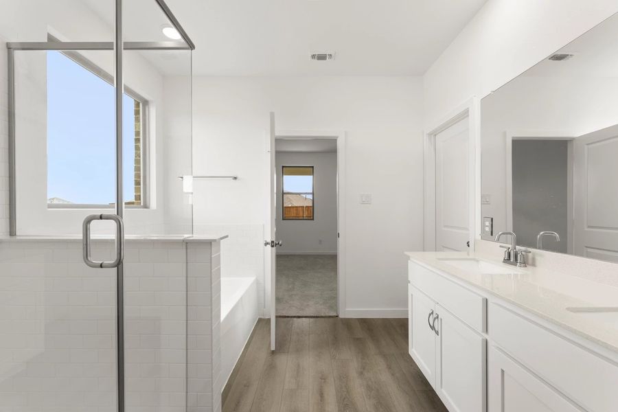 Primary Bathroom Representative Photo featuring the Timeless Collection