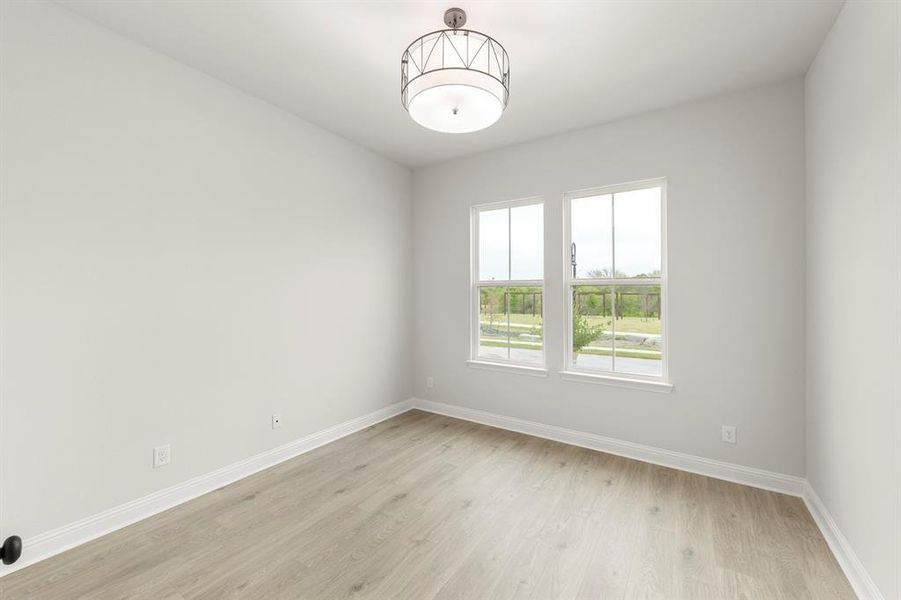 04. 9304 Blooming Ivy - Study 04. 9304 Blooming Ivy - Study