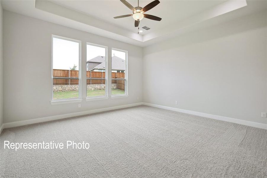 Unfurnished room featuring carpet and a raised ceiling